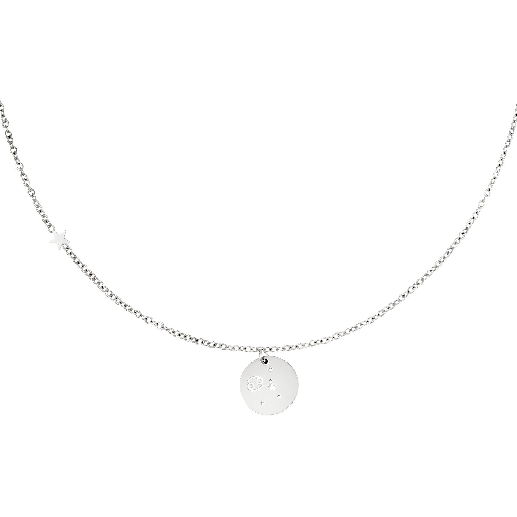 Silver Color Picture4