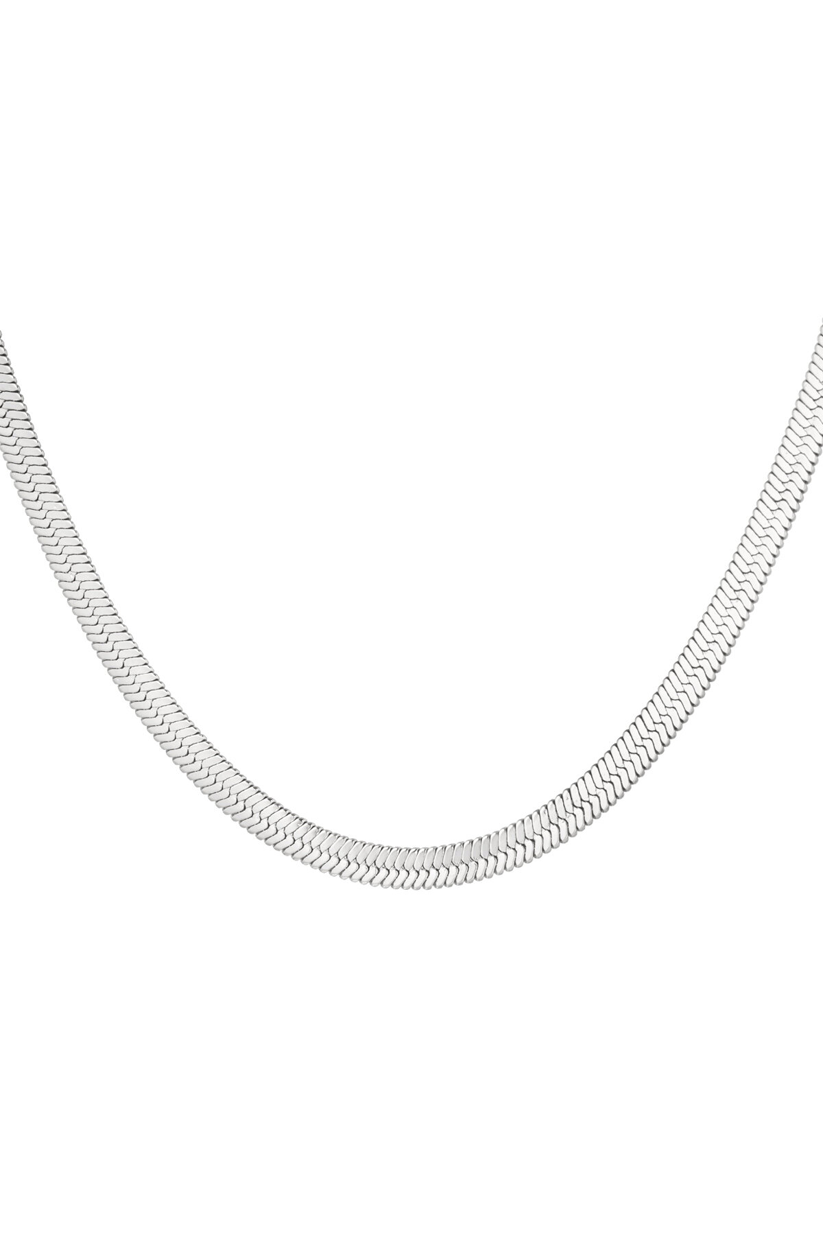 color plata Imagen2