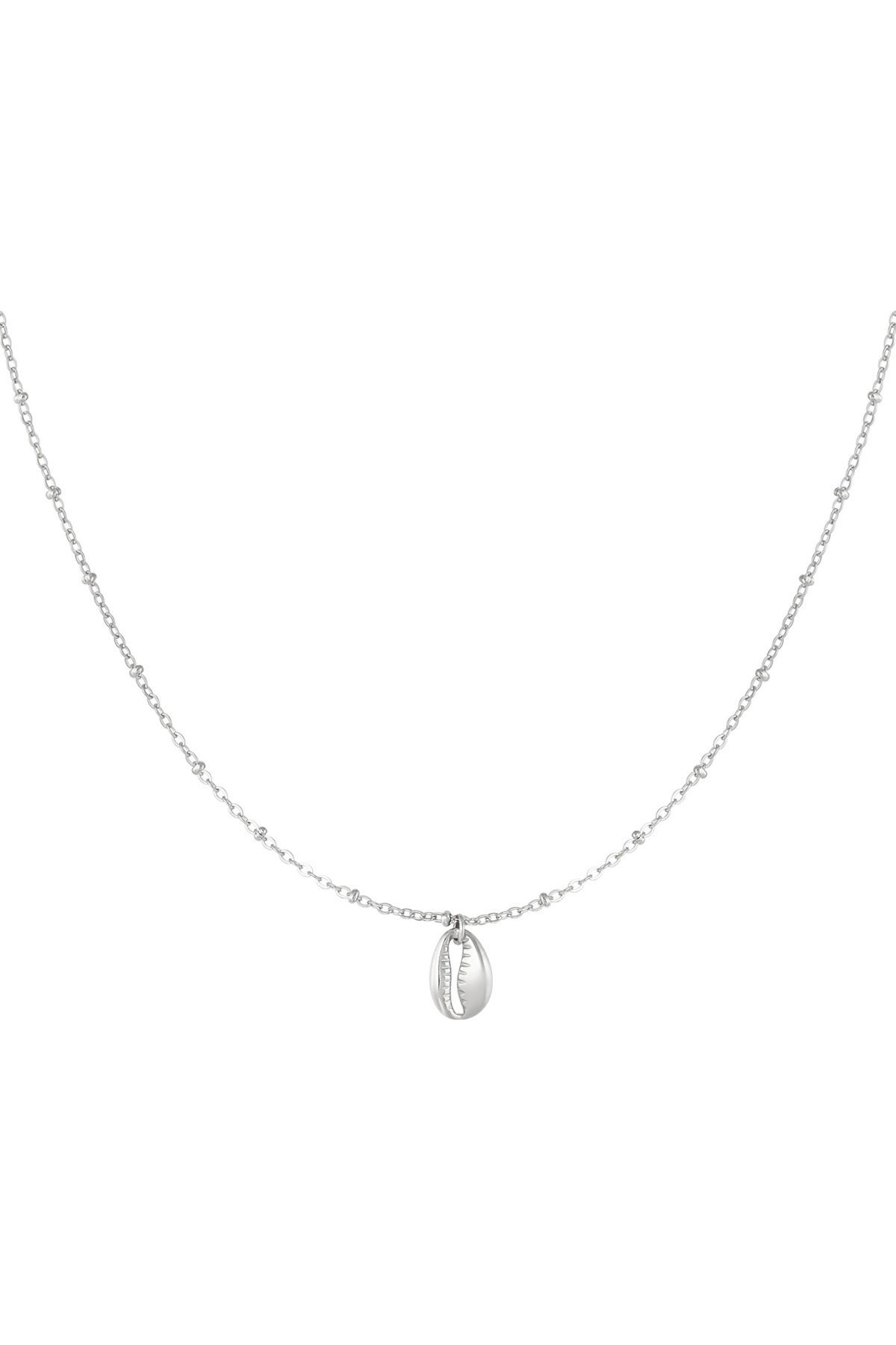Silver Color Picture2