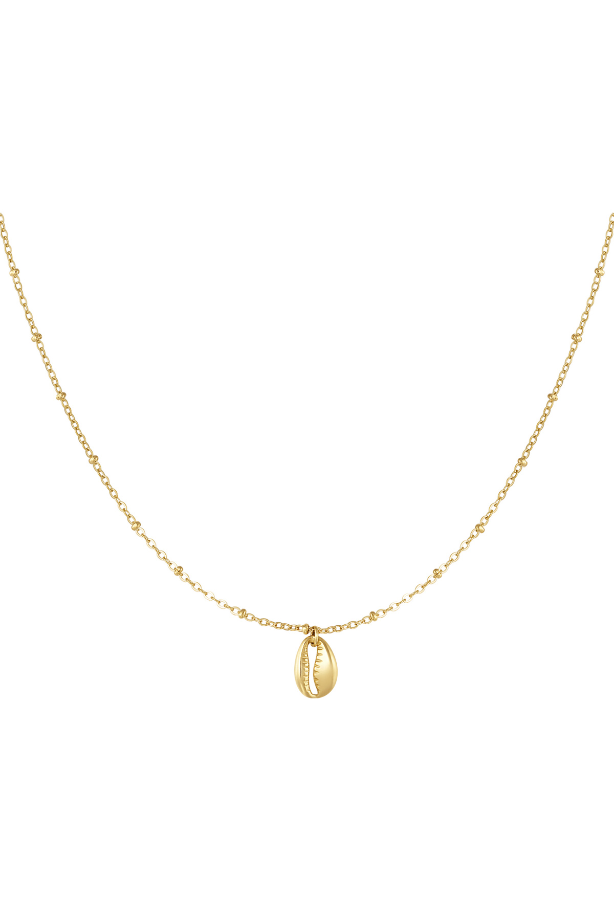 link chain with shell 