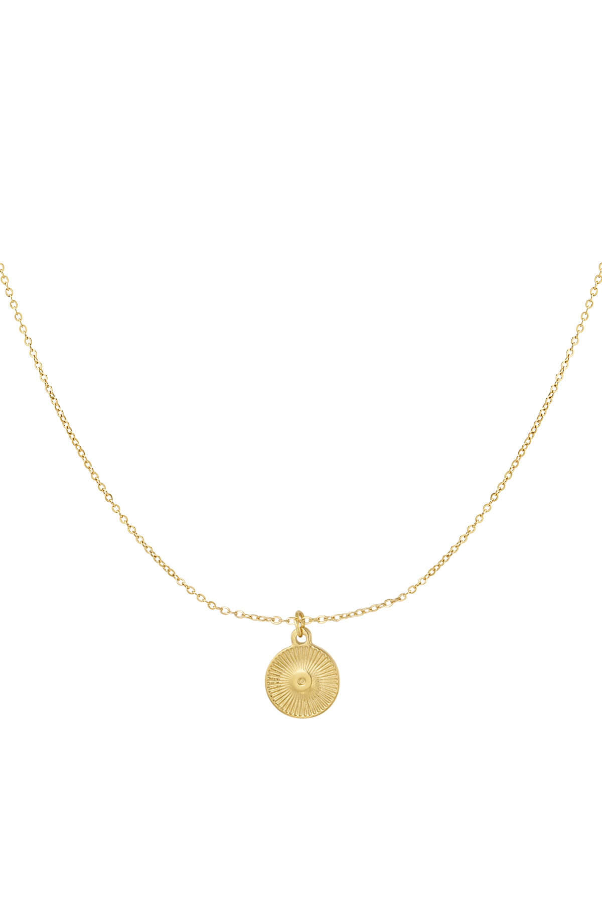 Ketting Ronde Coin