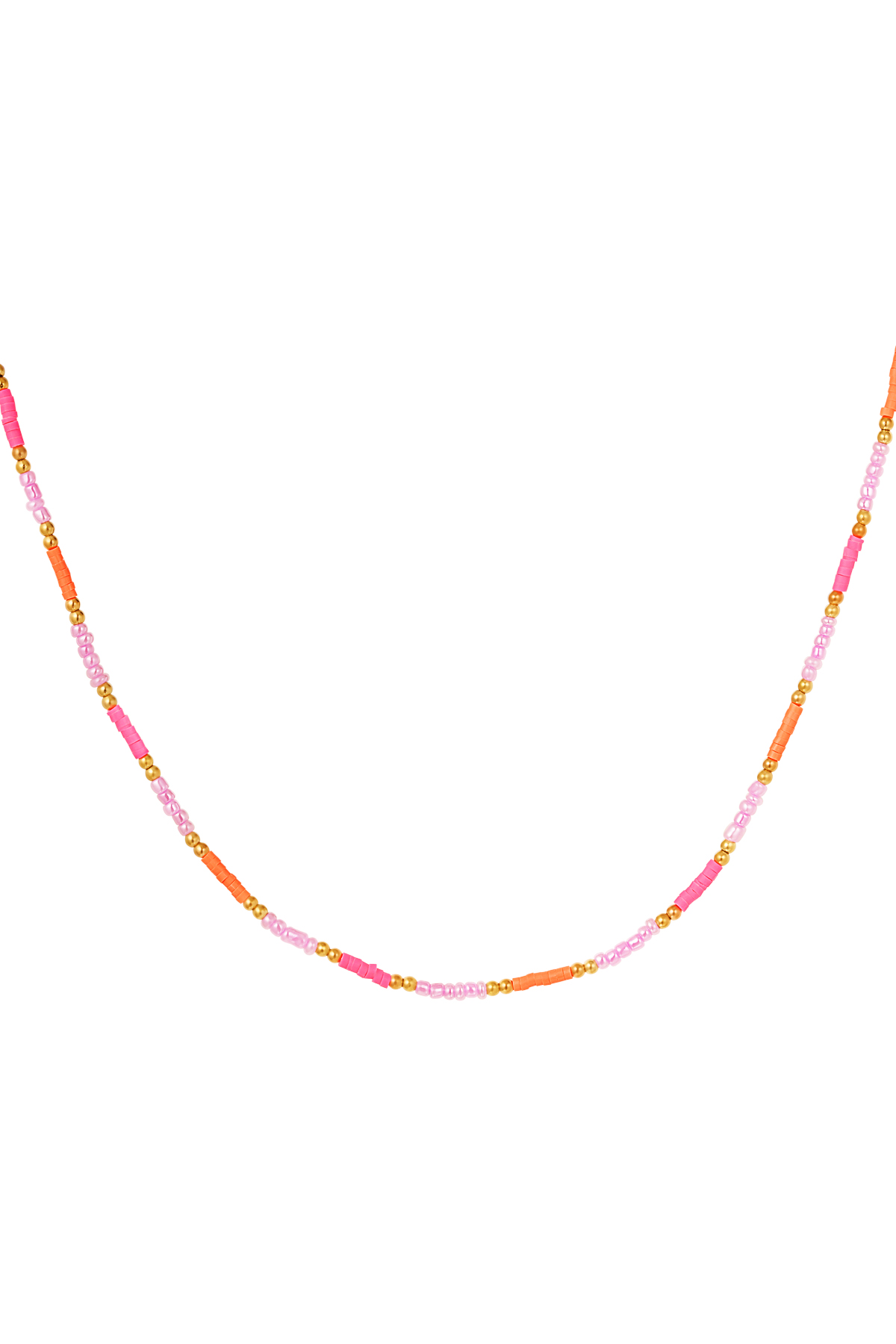 Rosa Immagine3