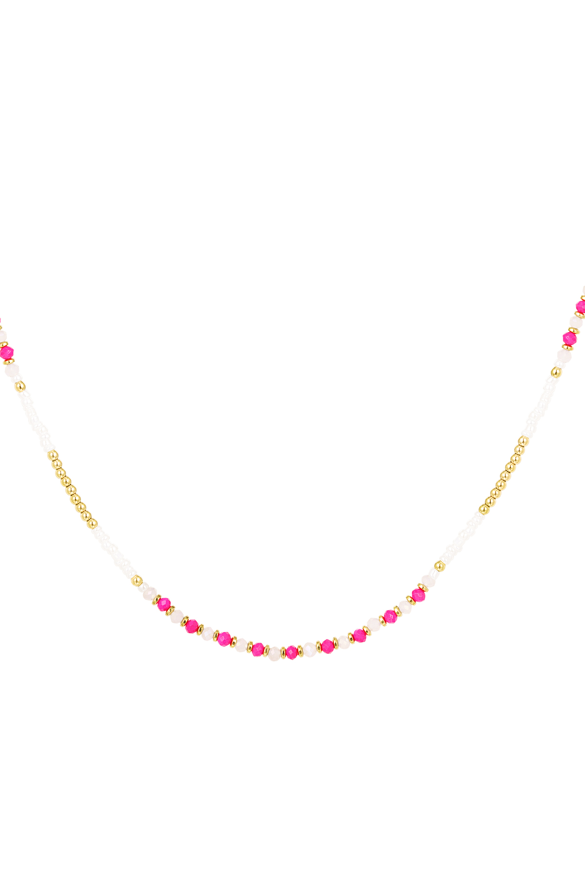 Rosa Imagen3