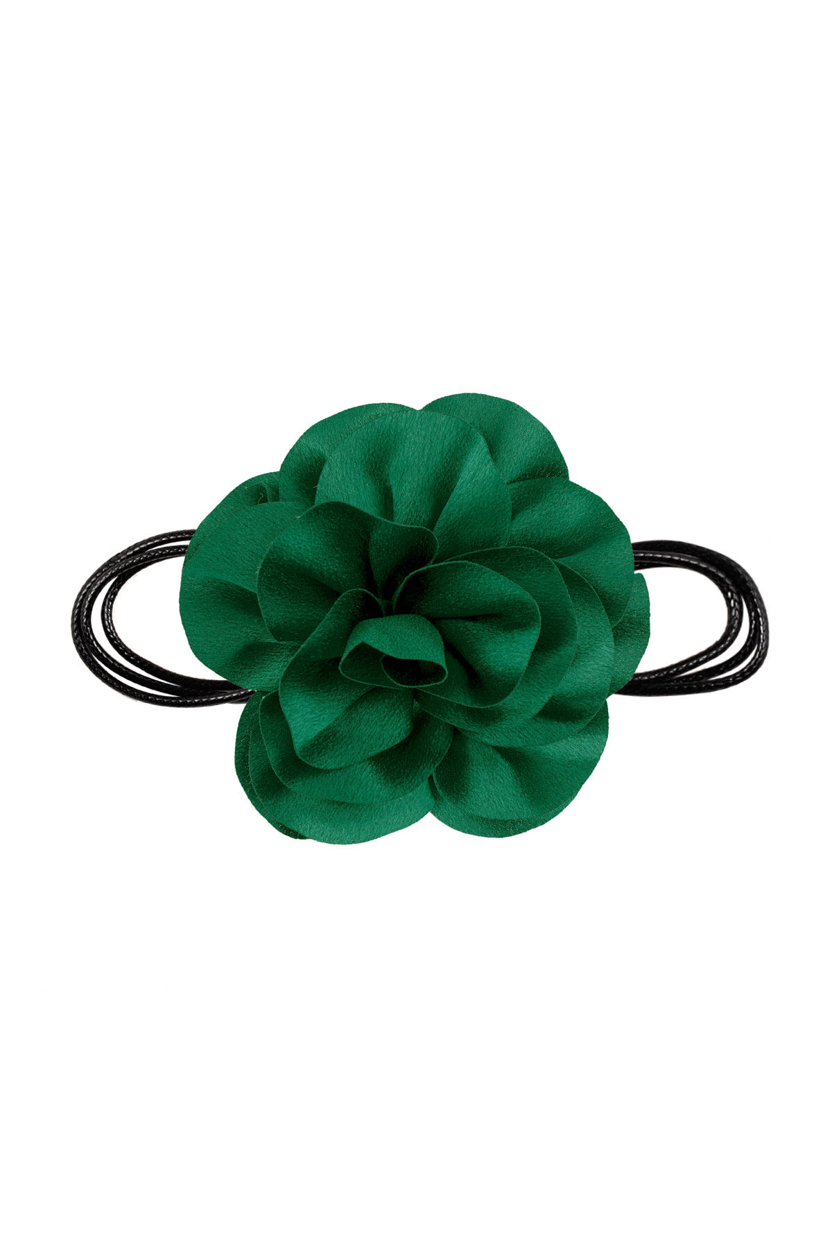Verde Immagine7