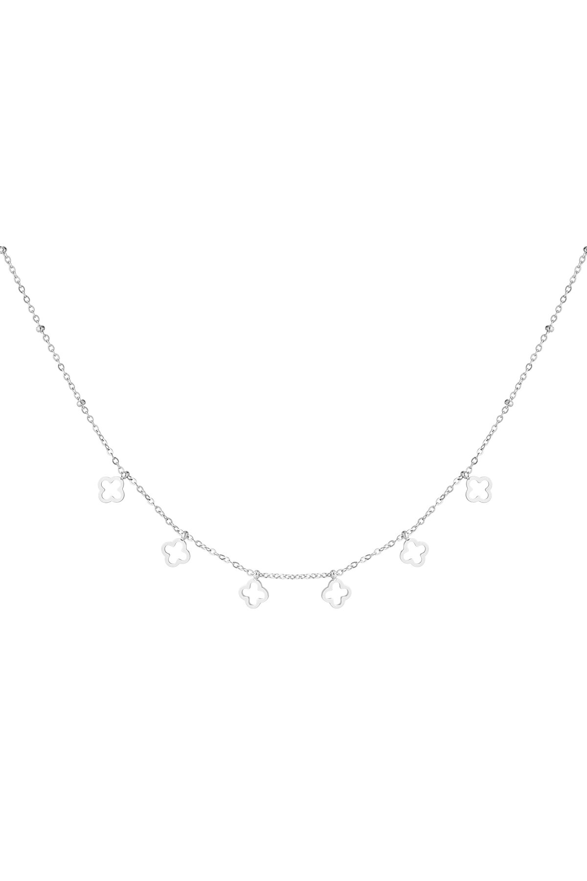 Silver Color Picture2