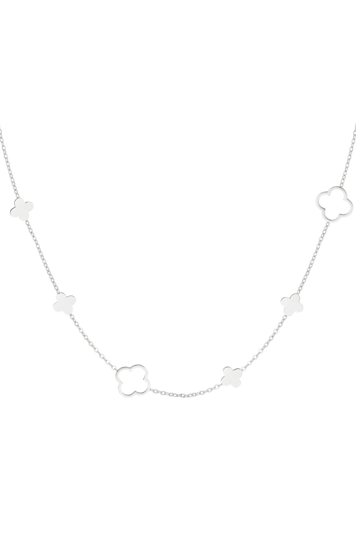 Silver Color Picture2