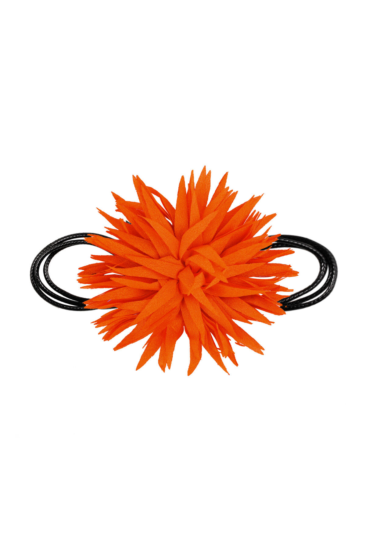 naranja Imagen4