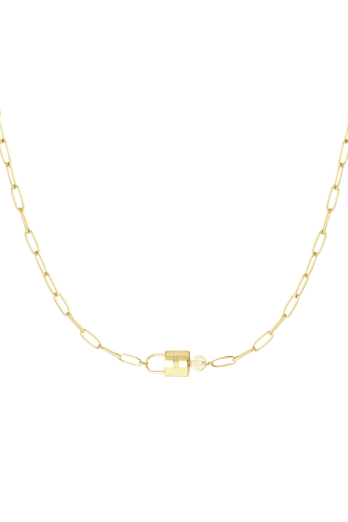Chain Link With Lock