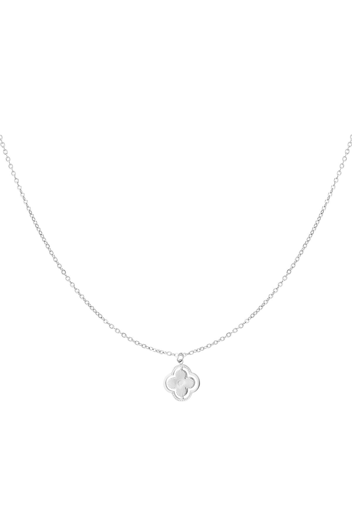 Silver Color Picture2