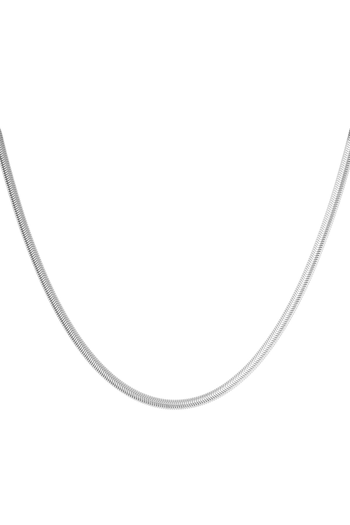 Silver Color 
