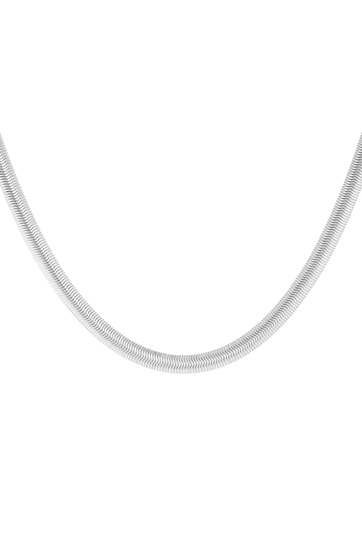 Silver Color Picture2