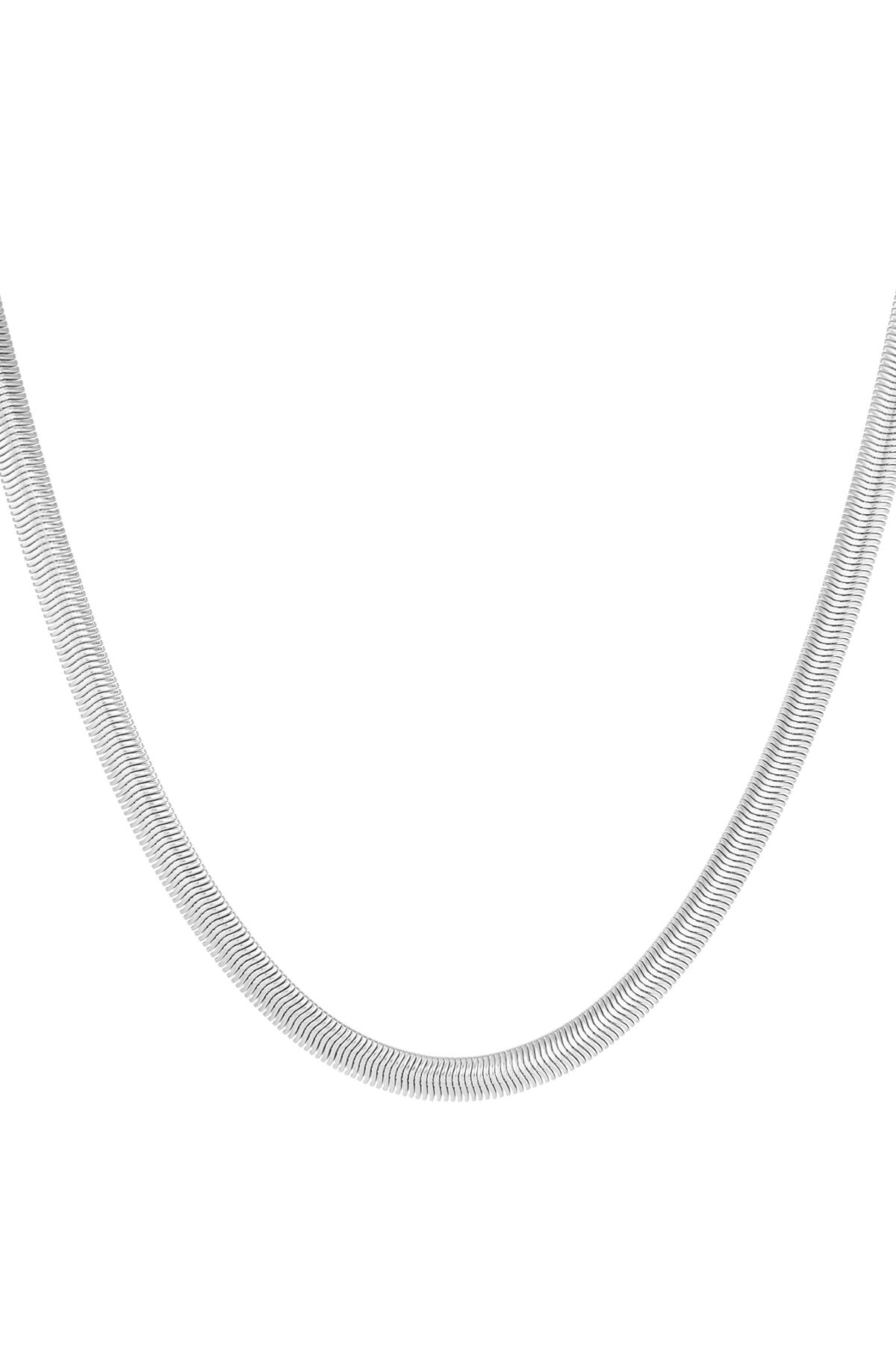 Silver Color Picture2