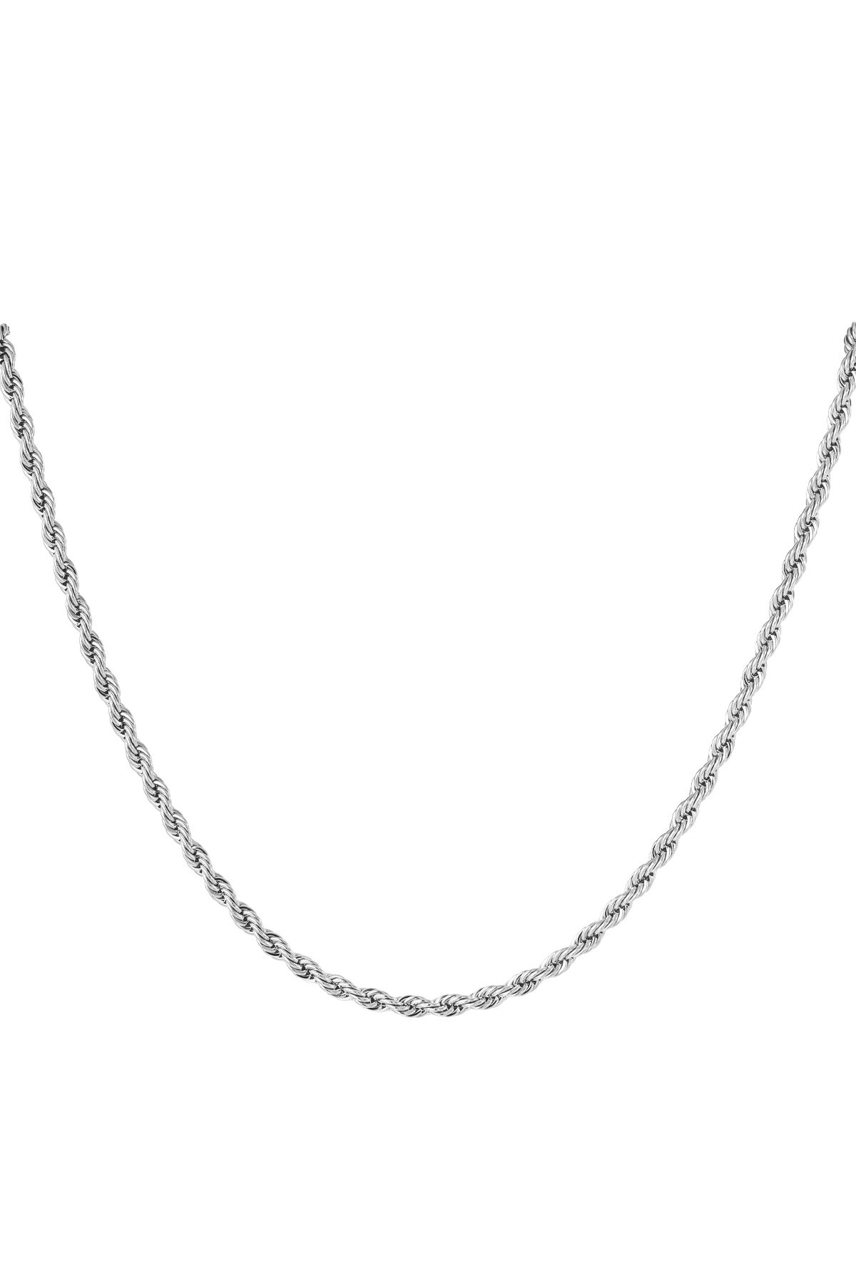 Silver Color Picture2
