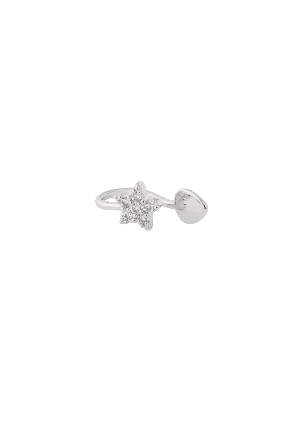 Silver Color Picture2