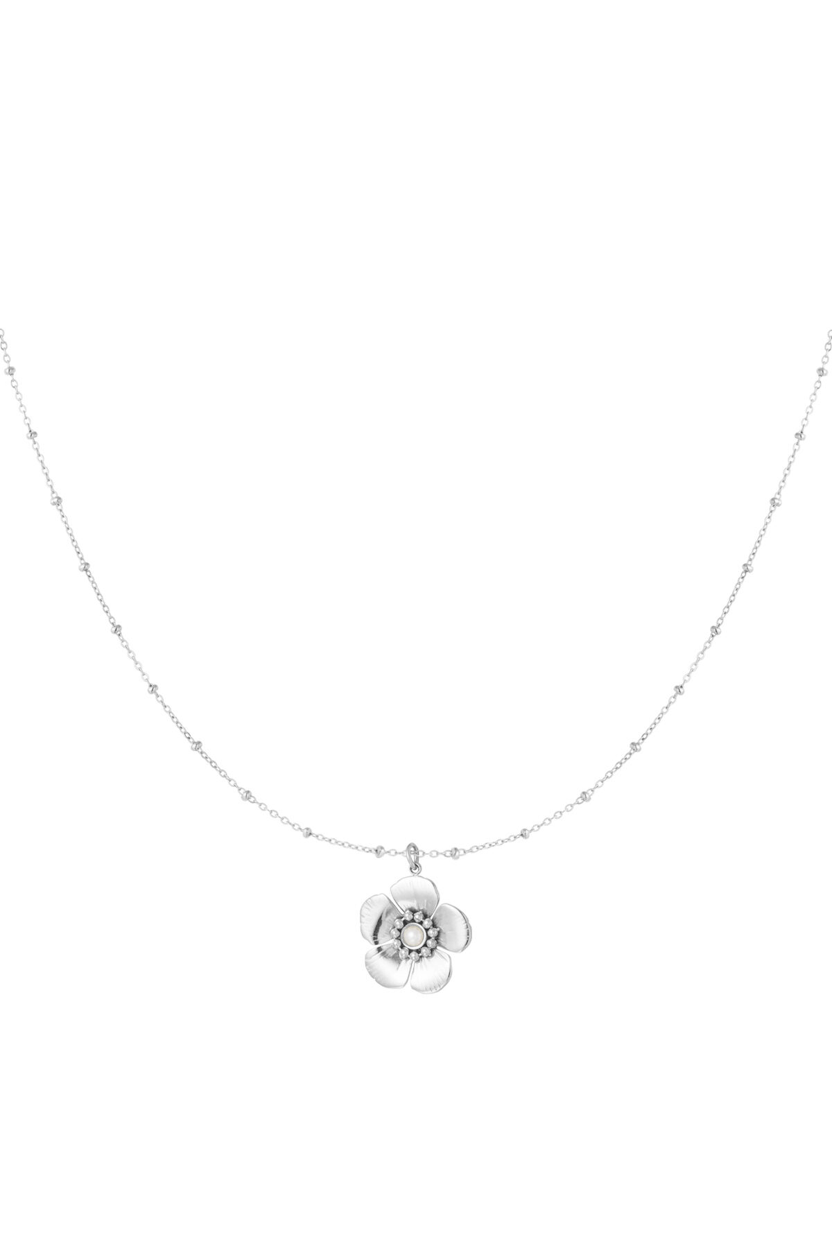 couleur argent Image2