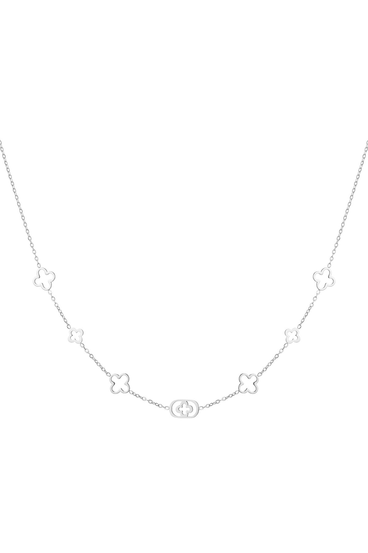color plata Imagen2