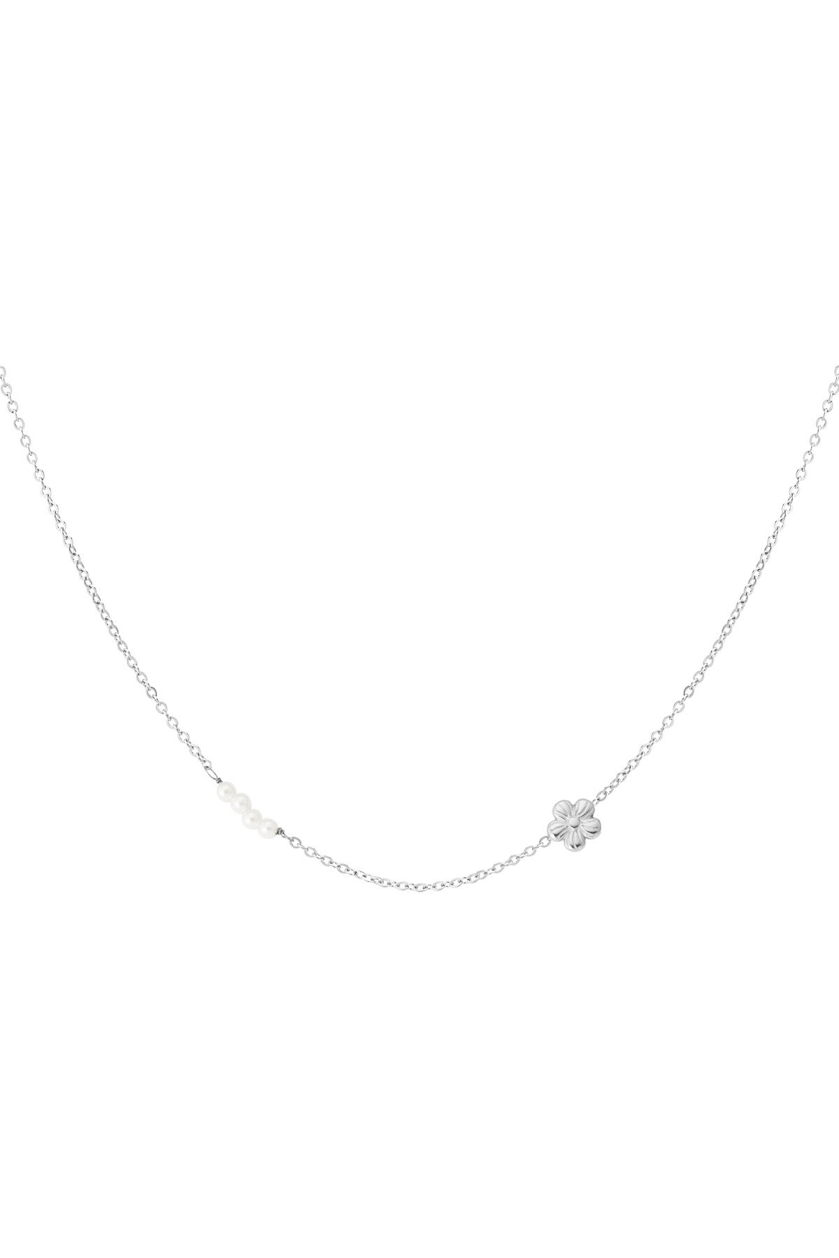 Silver Color Picture2