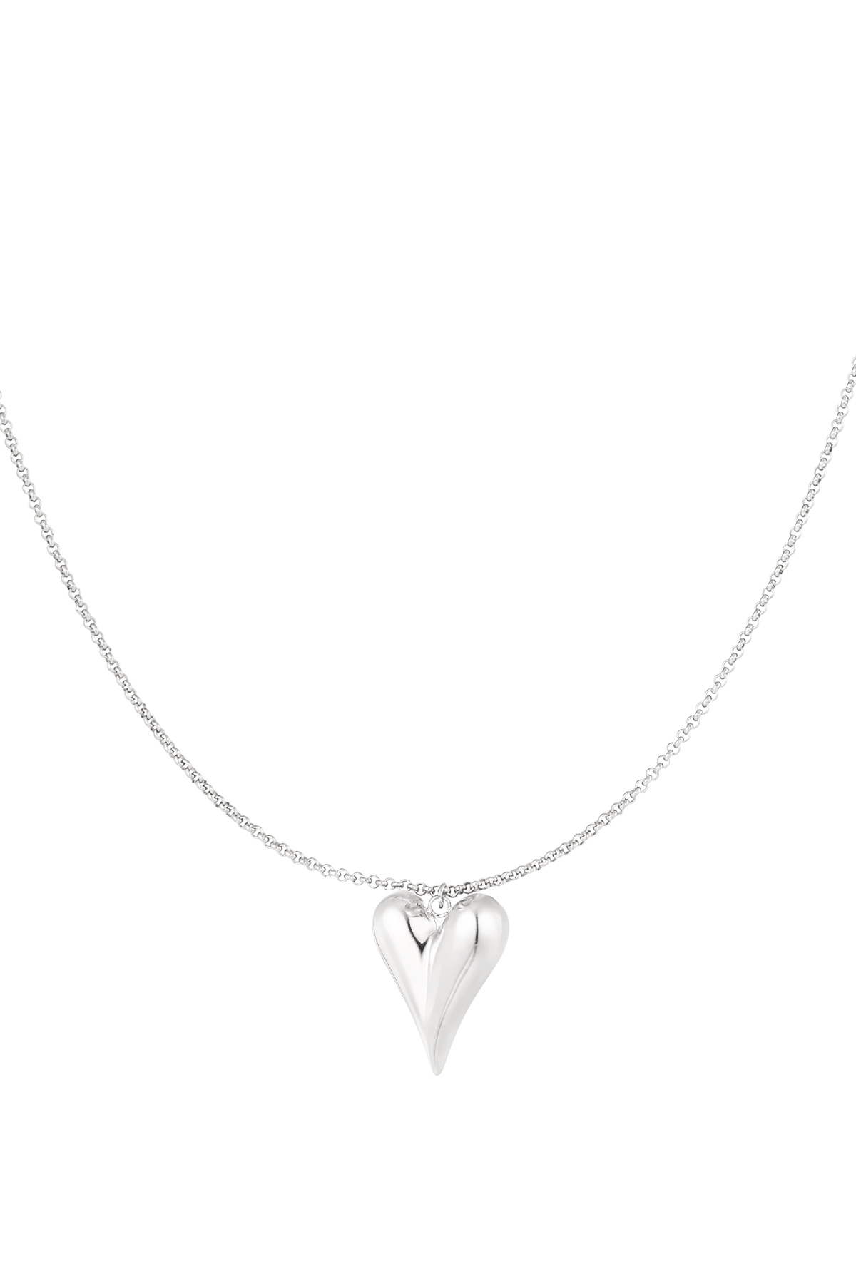 Silver Color Picture2