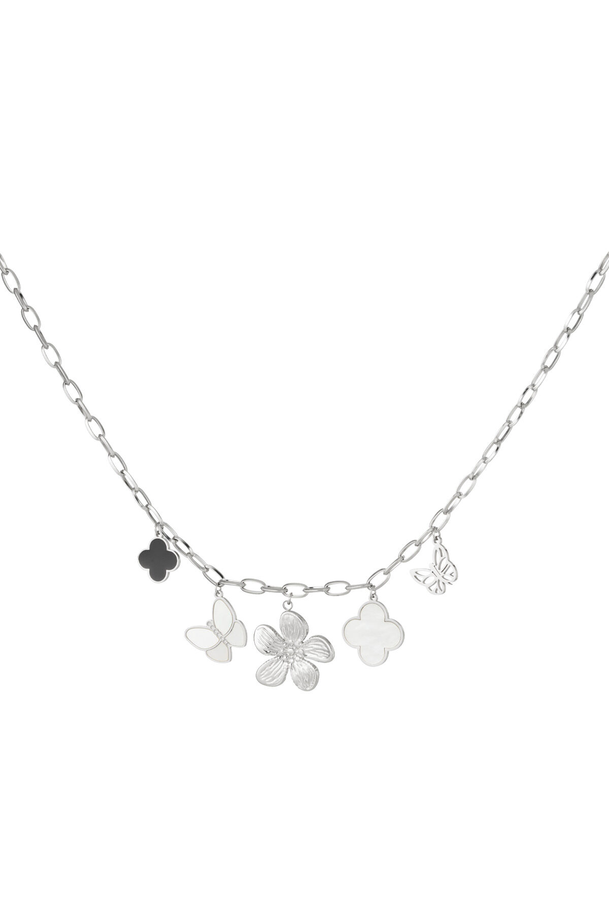 Silver Color Picture2