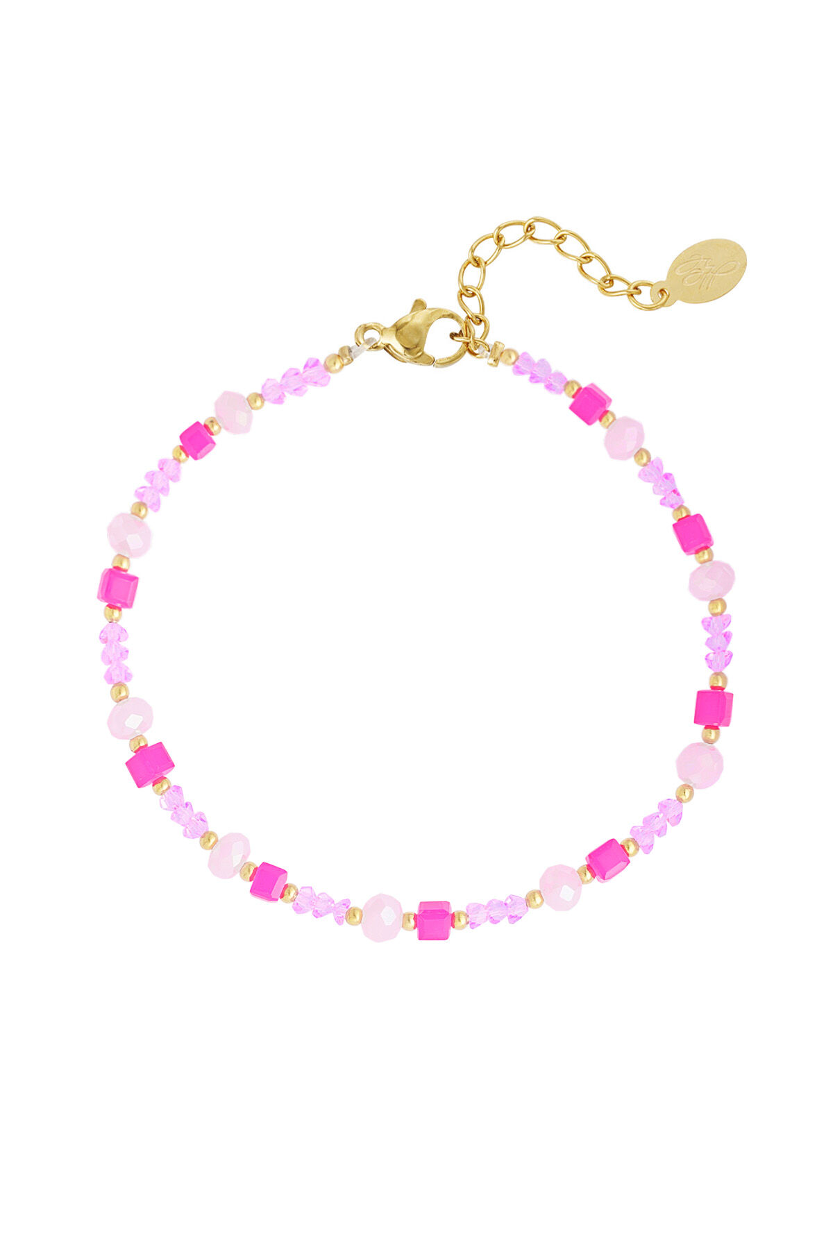 Rosa Immagine5