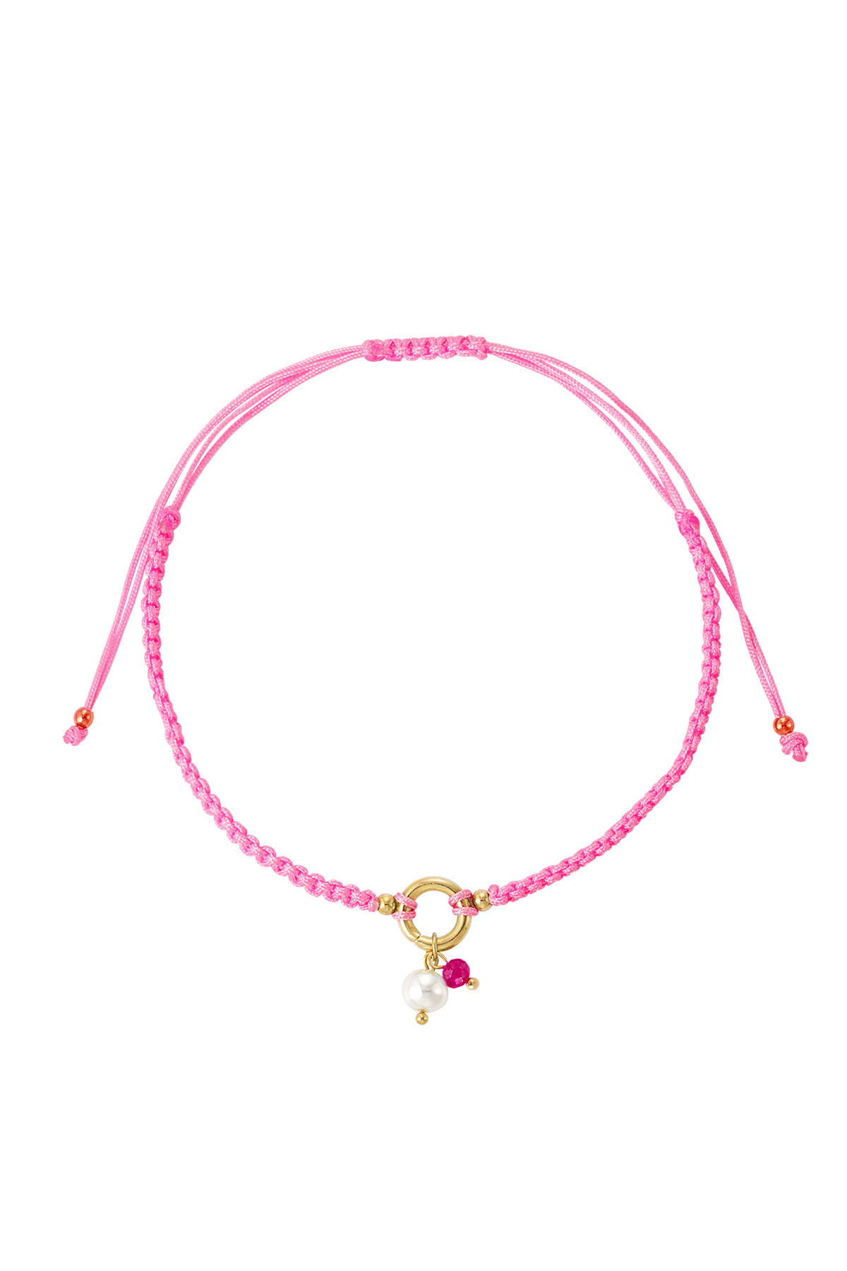 Rosa Immagine4