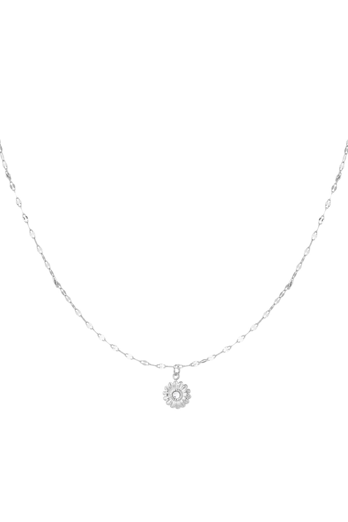 color plata Imagen2