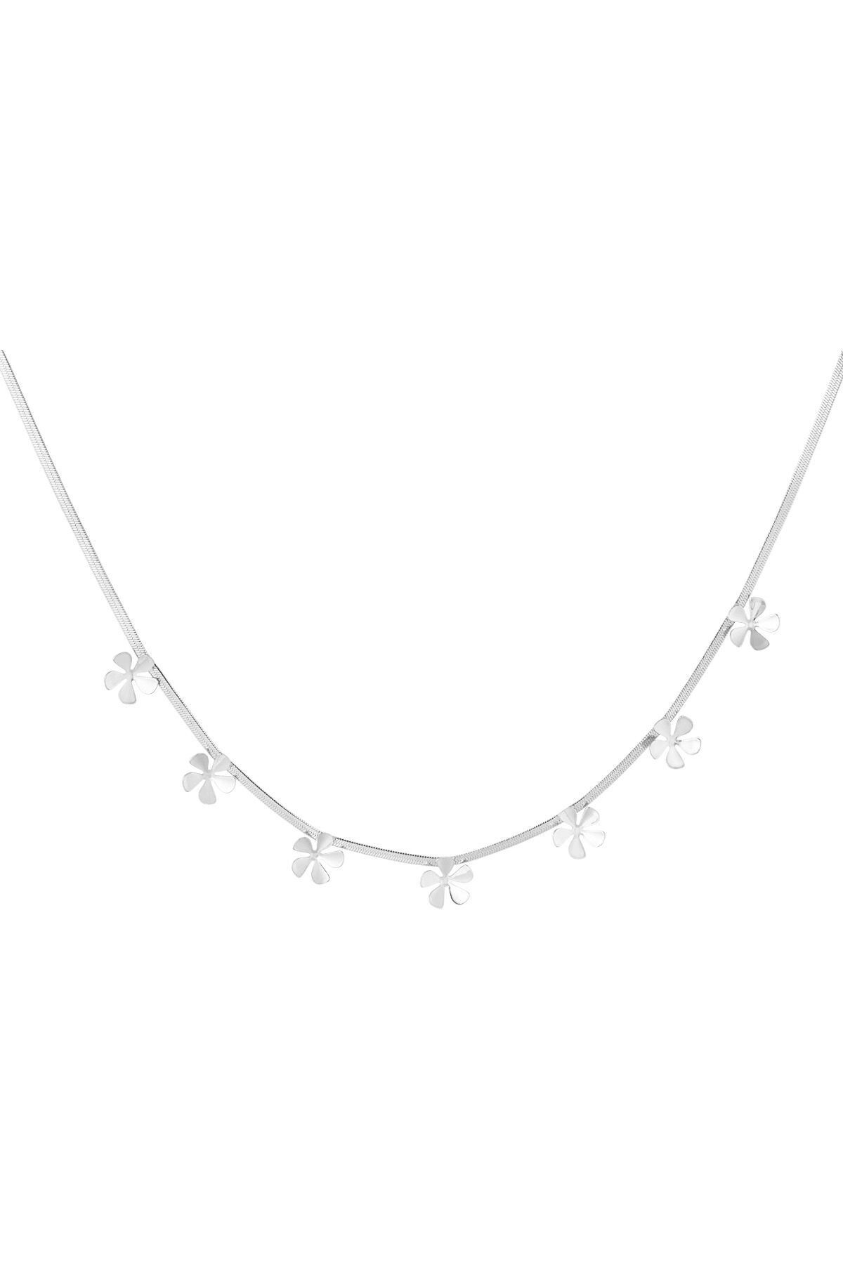 Silver Color 