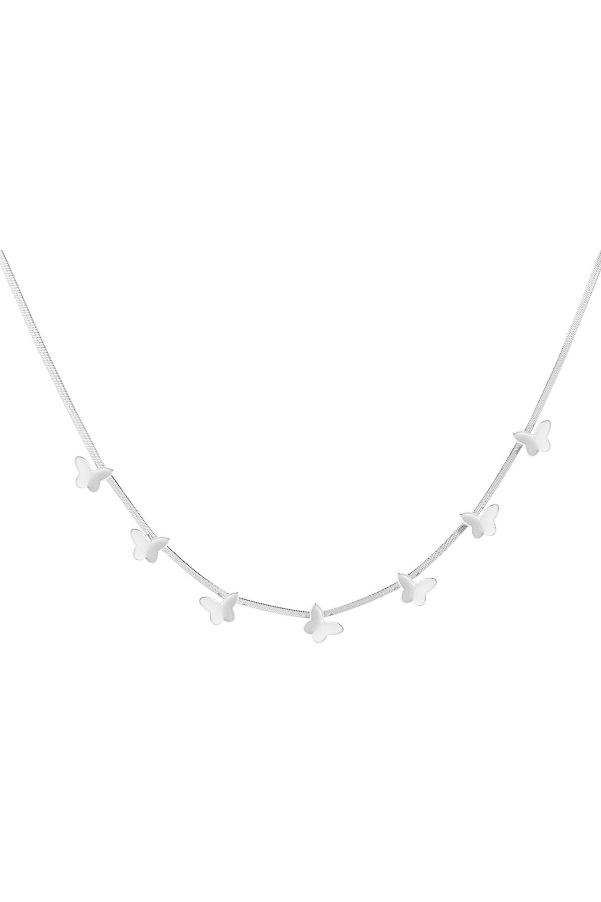 Silver Color Picture2