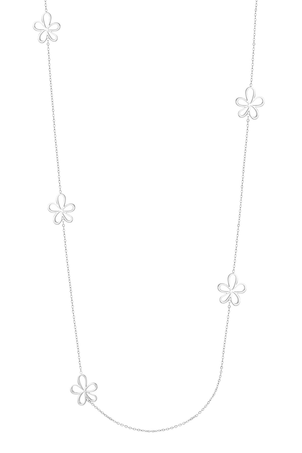 Silver Color Picture2