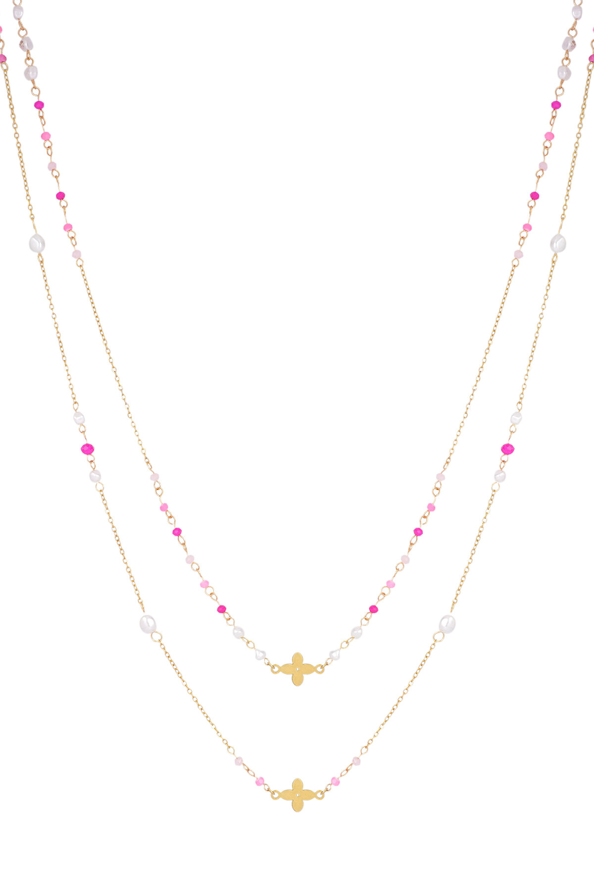 fucsia Immagine2