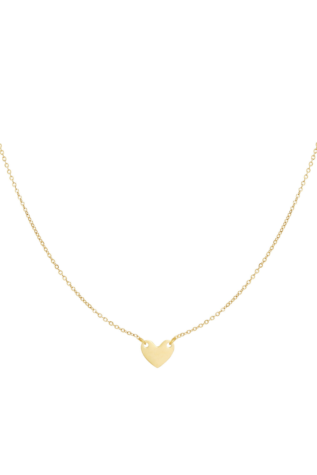 collar cariño duradero h5 Imagen2