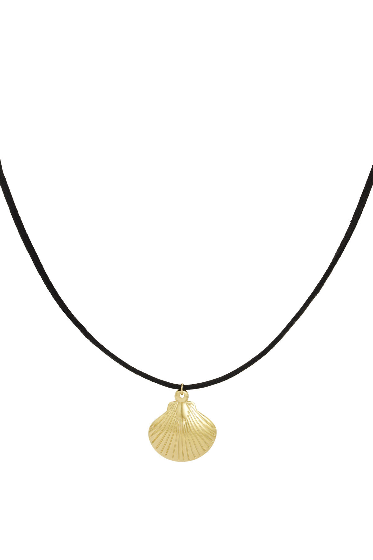 necklace shellbound h5 