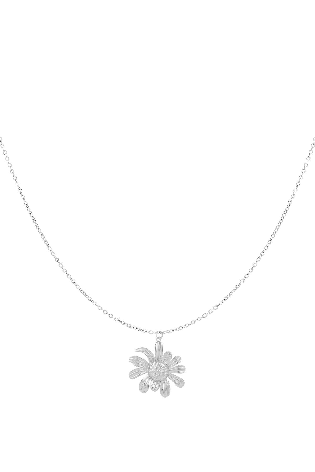 Silver Color Picture2