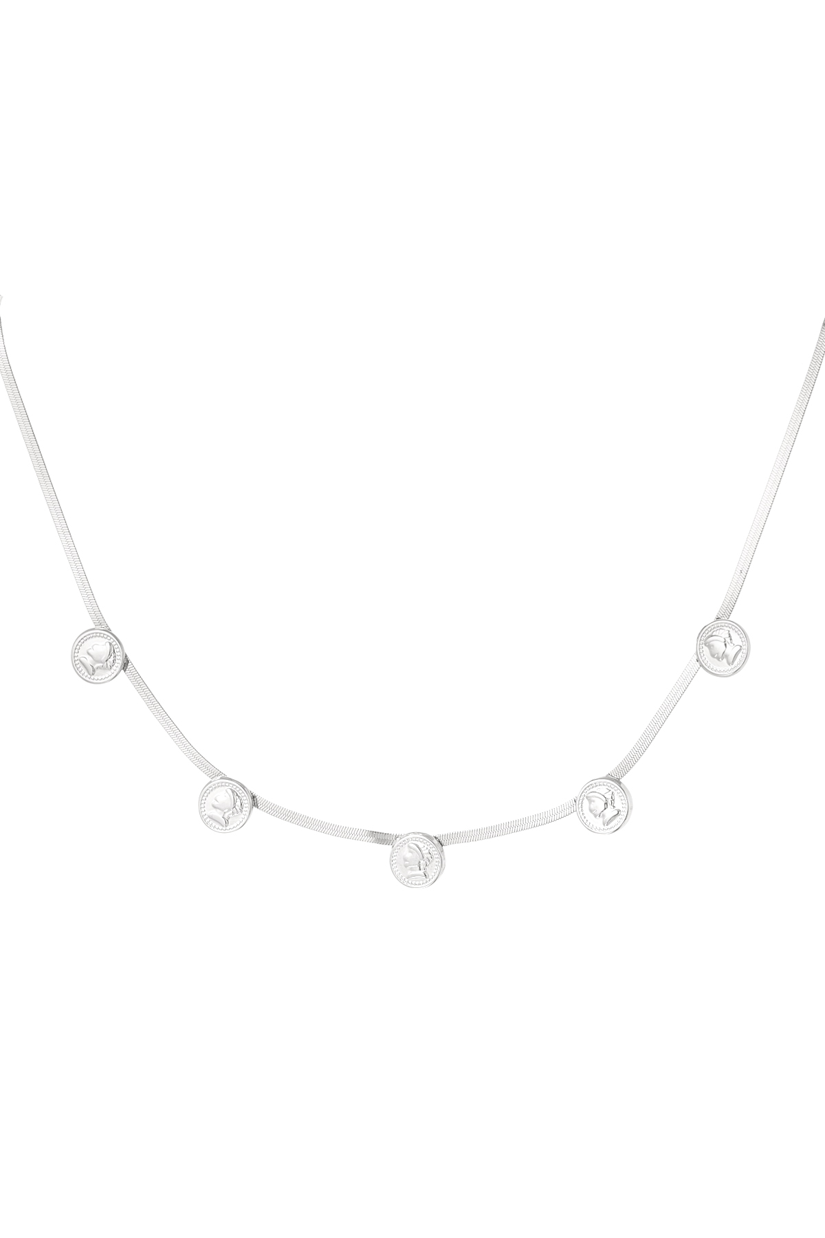 couleur argent Image2