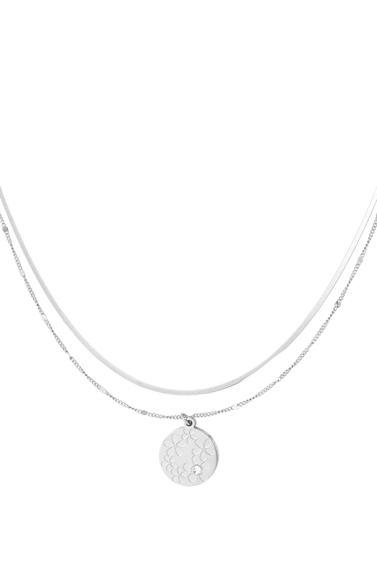 color plata Imagen2
