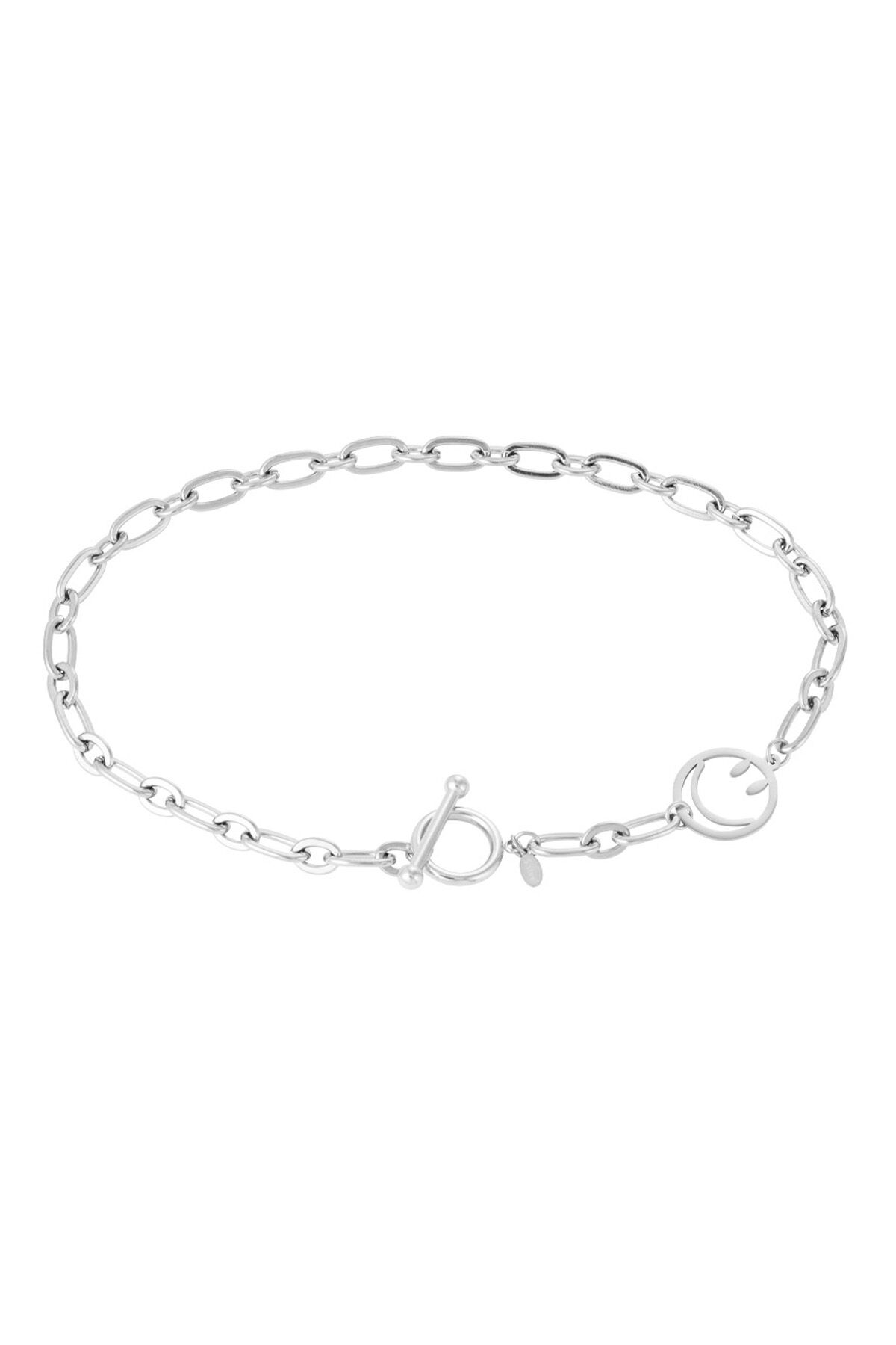 Silver Color Picture2
