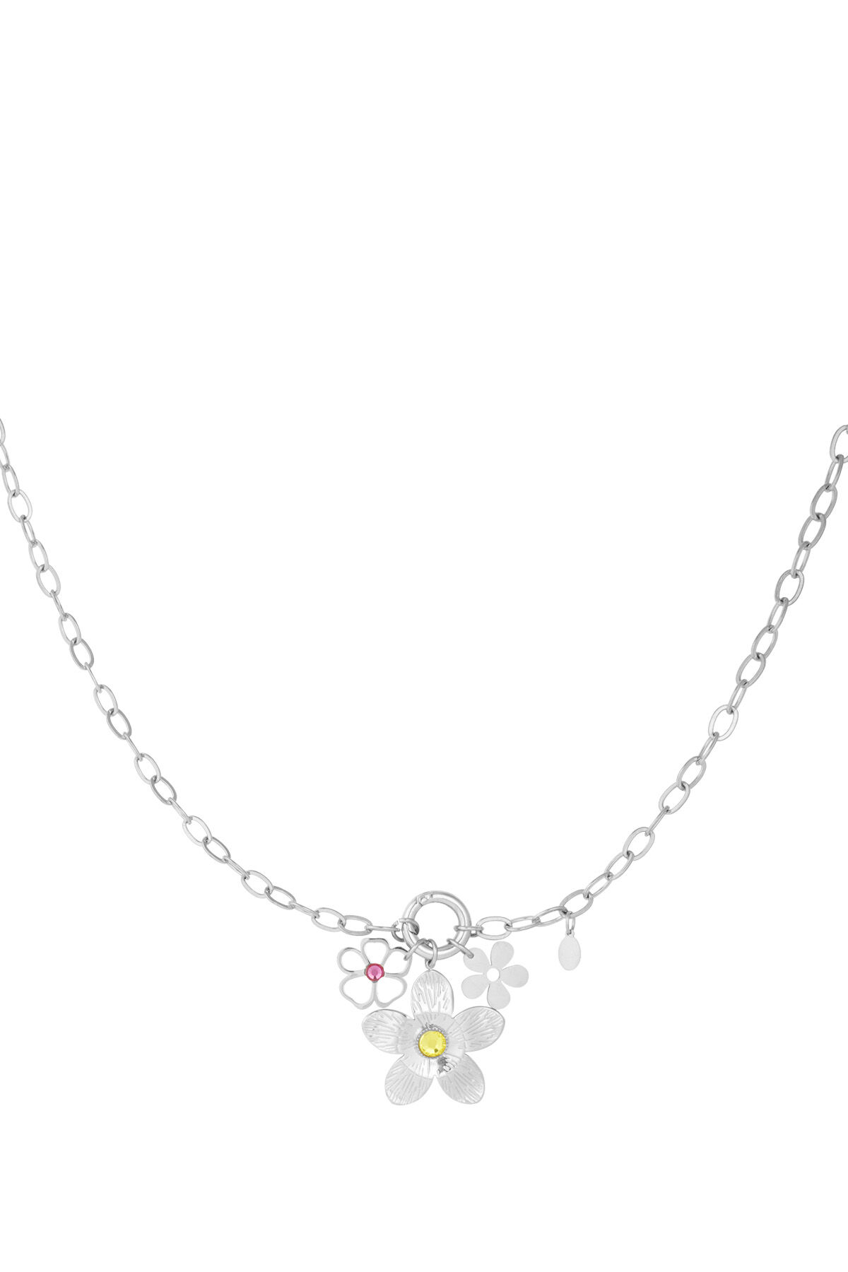 Silver Color Picture2