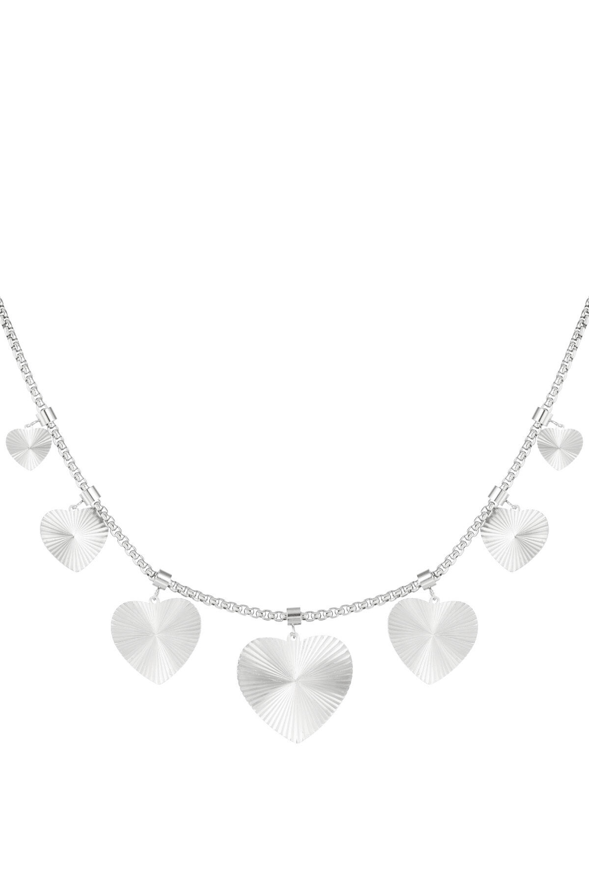 couleur argent Image2