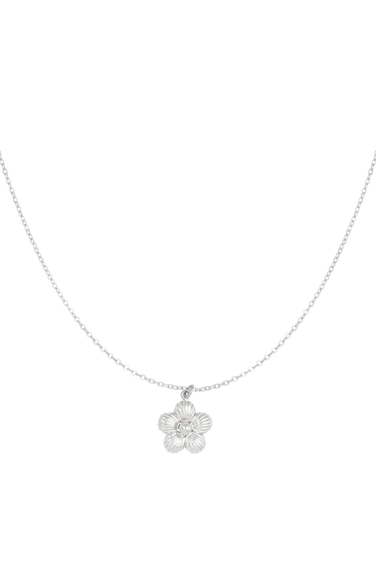 couleur argent Image2