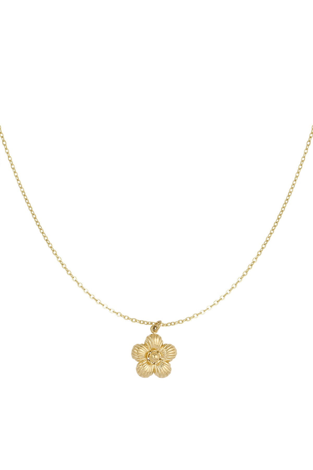 collier marguerite h5 