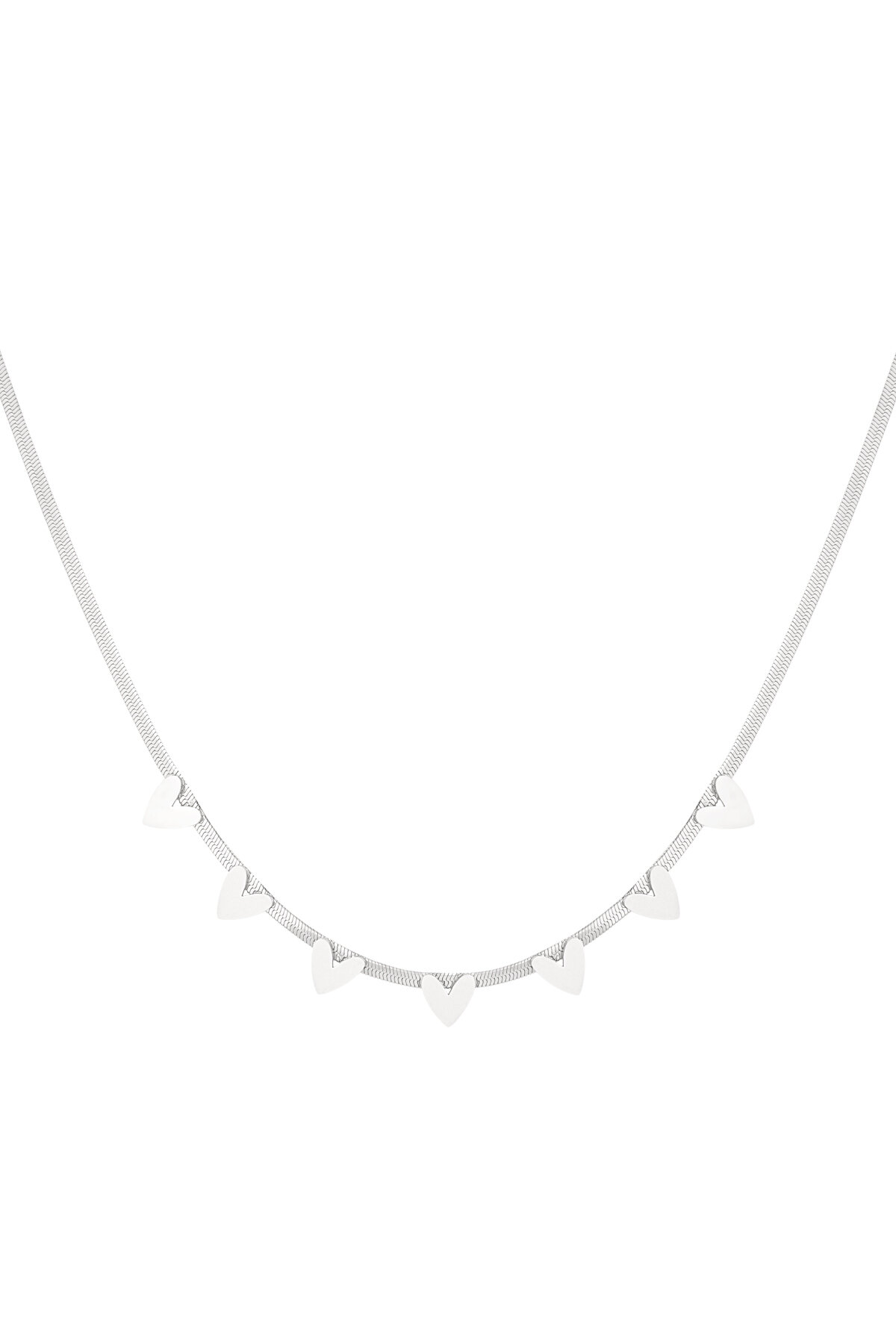 Silver Color Picture2