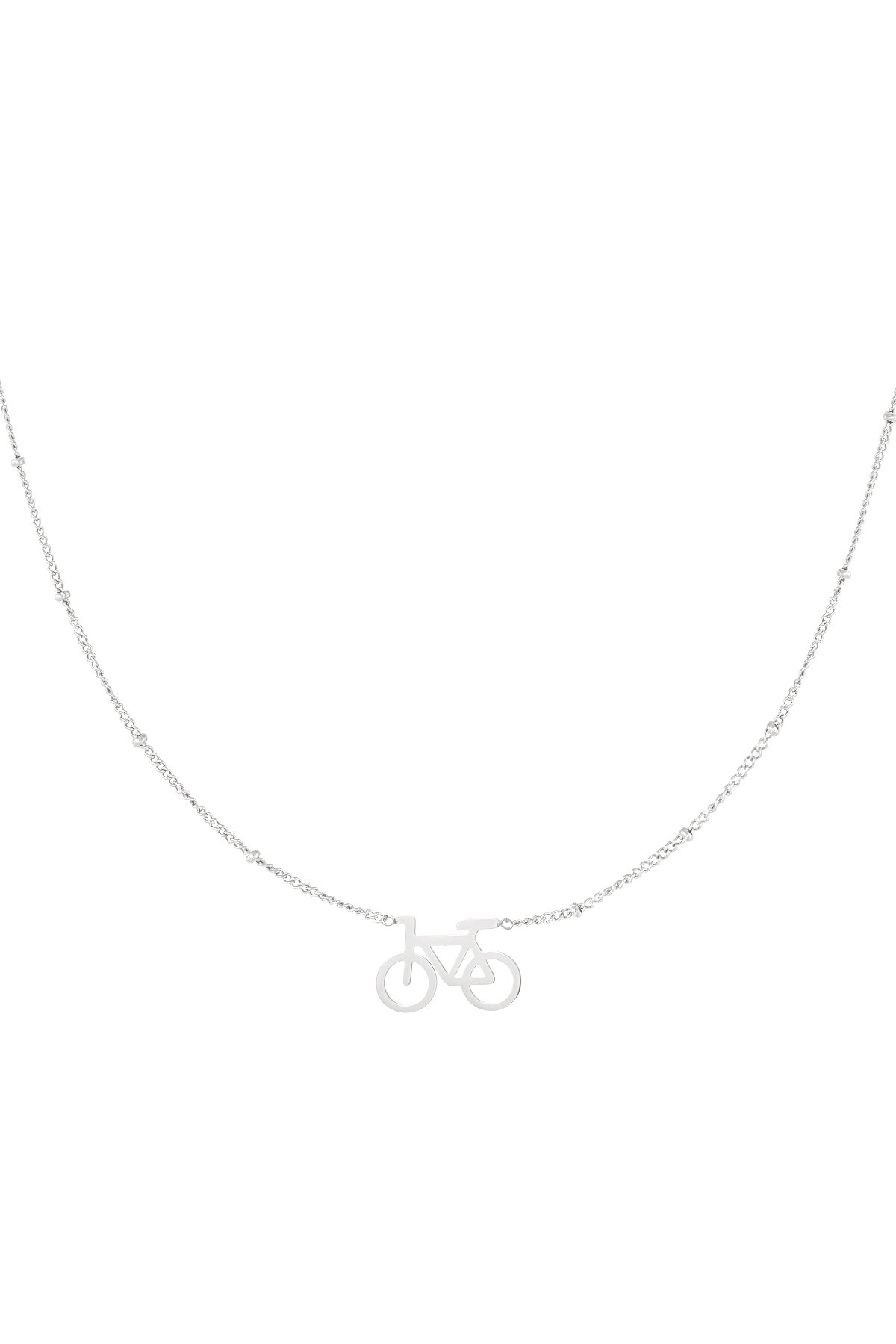 Silver Color Picture2