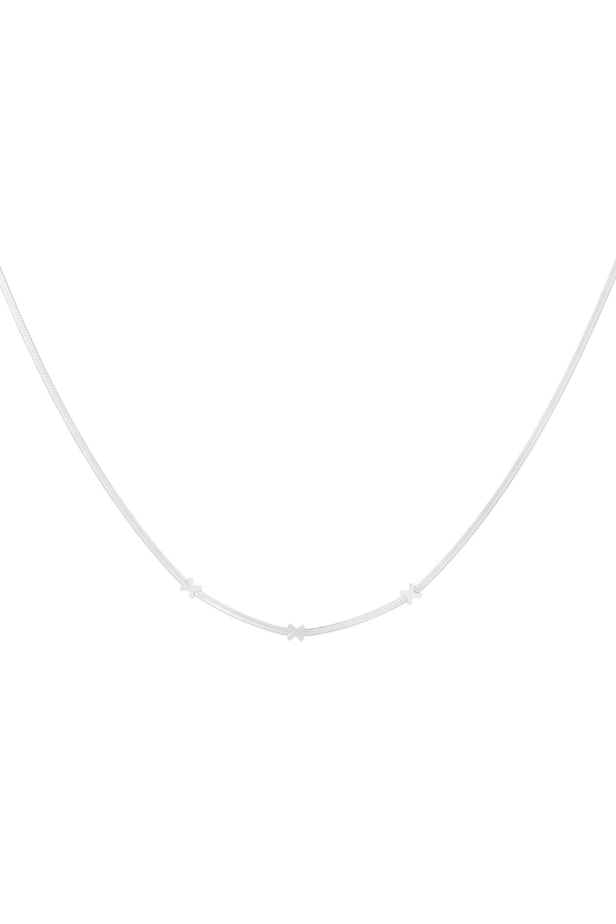 Silver Color Picture2