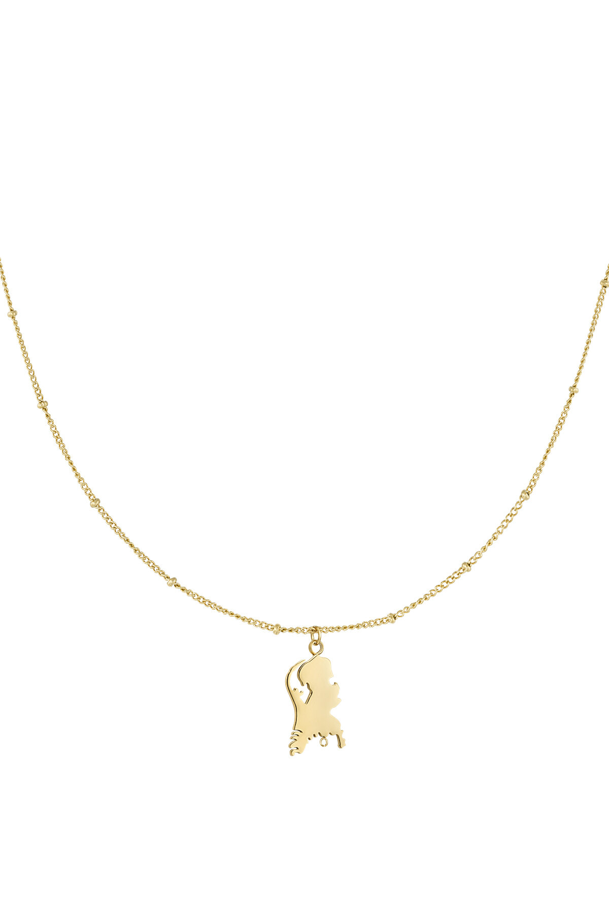 Niederlande Kette h5 