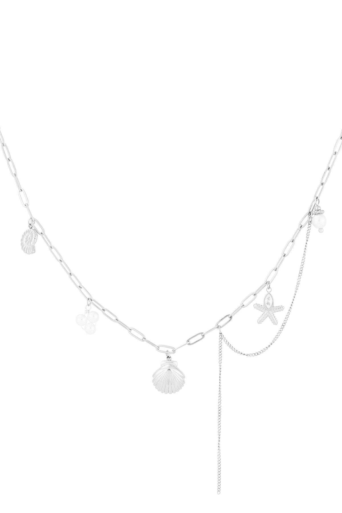 Silver Color Picture2
