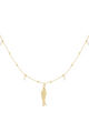 Gold Color Picture2