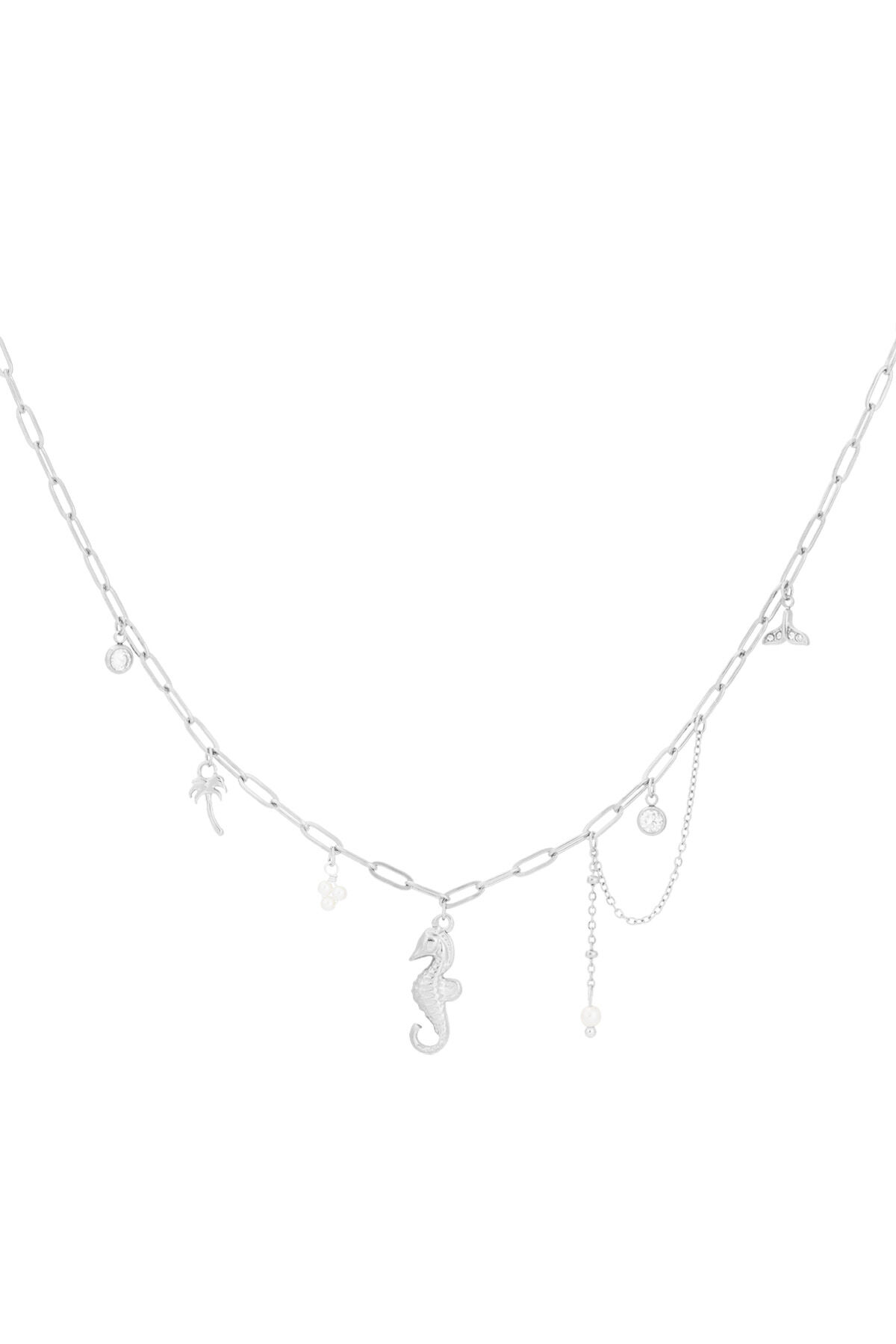 Silver Color Picture2