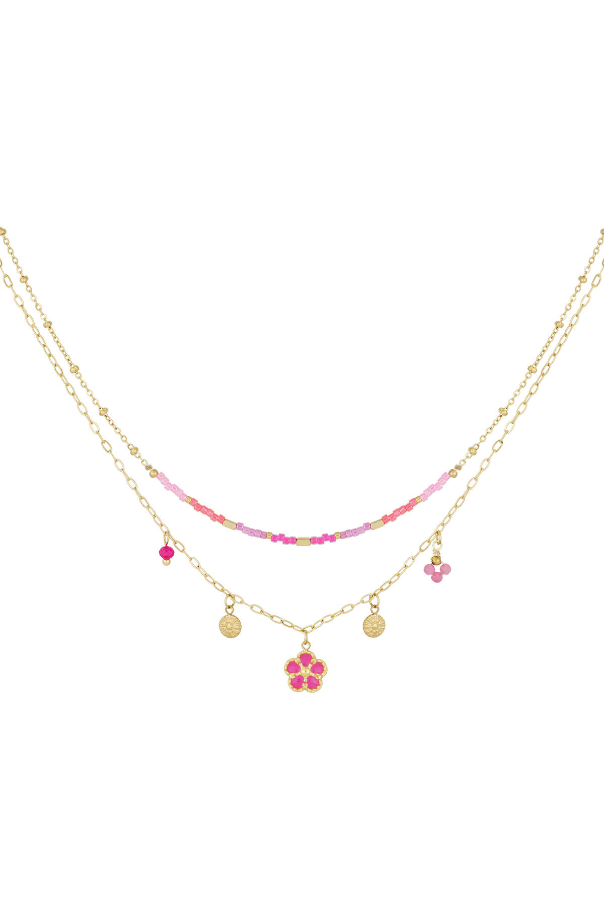 fucsia Immagine2