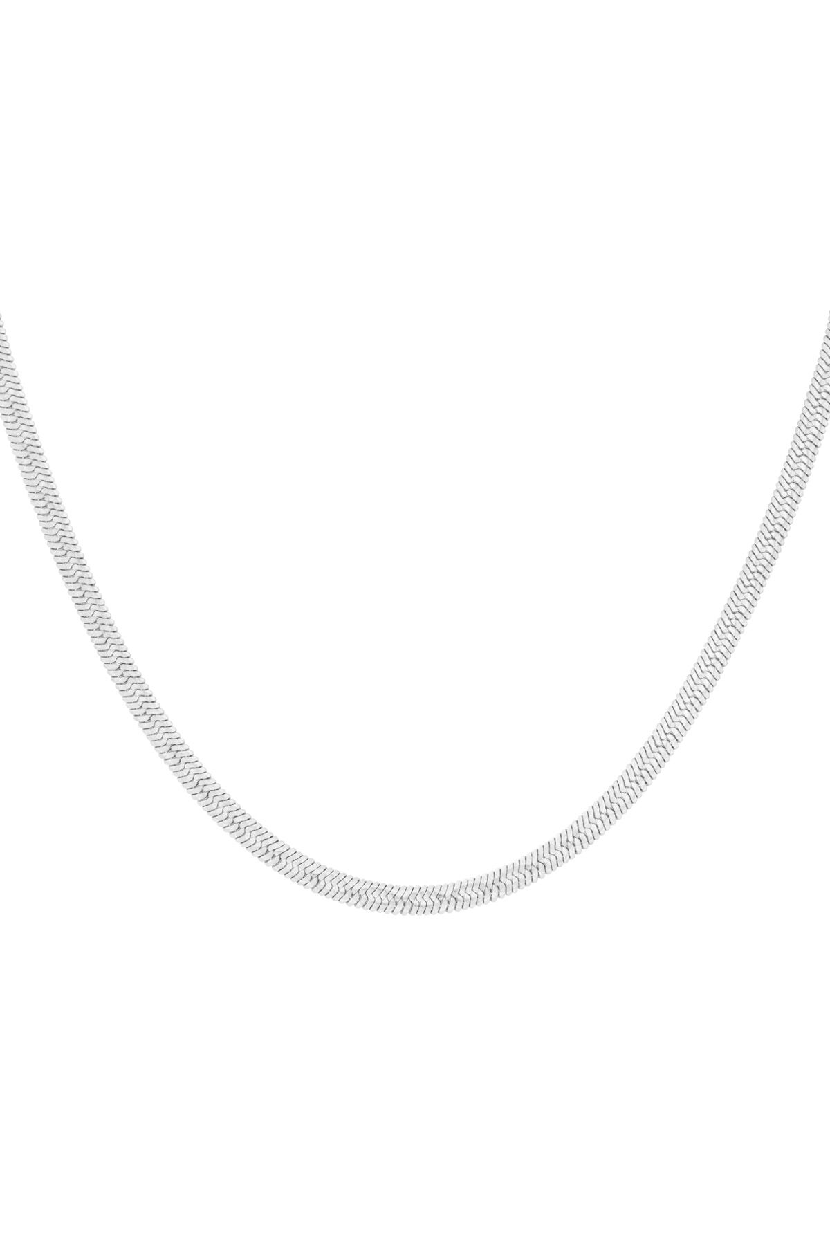 Silver Color Picture2
