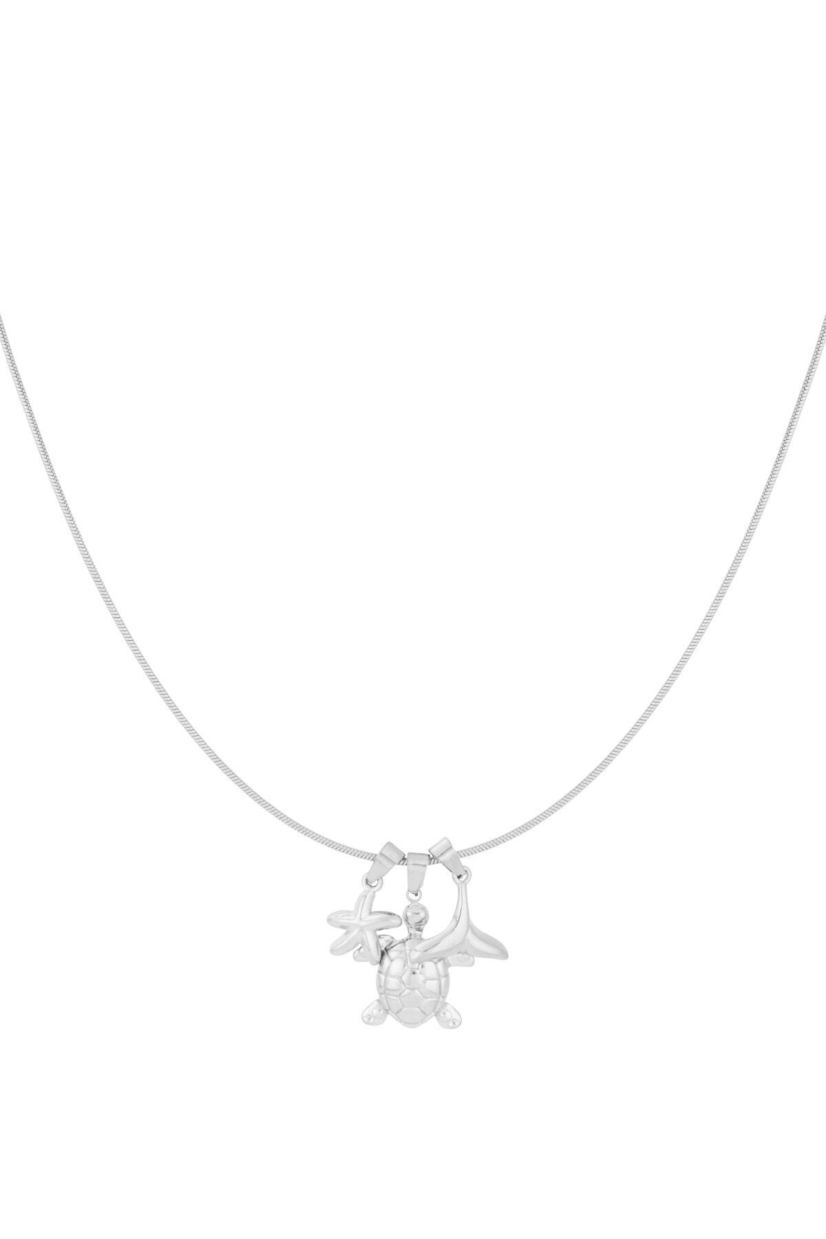 Silver Color Picture2